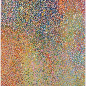 Viel of Unfolding Life, 2017